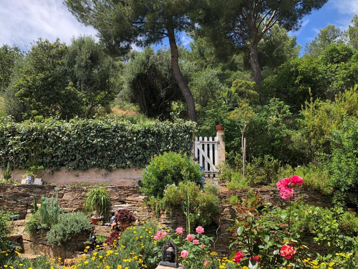 Logement Zen Sur La Colline Aux Mimosas Hyeres Exterior photo