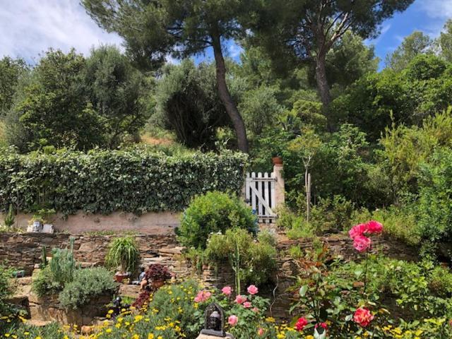 Logement Zen Sur La Colline Aux Mimosas Hyeres Exterior photo
