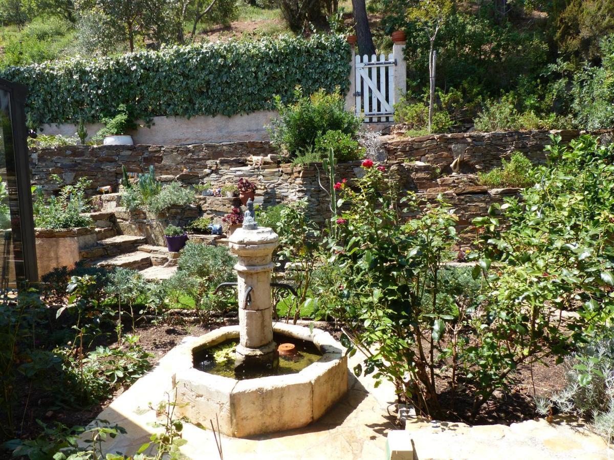 Logement Zen Sur La Colline Aux Mimosas Hyeres Exterior photo